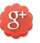 Google Plus icon Brookline MA